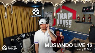 MUSIANDO LIVE 12 | JAMBY EL FAVO