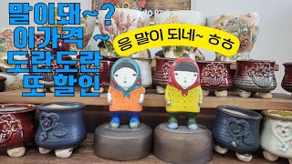 11월17일 토끼네화분  # 다육초보임님 #다 오네요 ~  예쁜인형들도 있어요 5만이상 택비무료