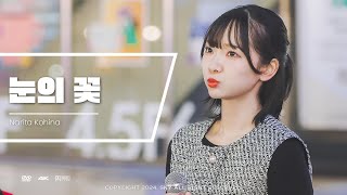 [4K] 241007 눈의 꽃(雪の華) - AKB48 나리타 코히나 (Narita Kohina) ㅣ홍대 게릴라 버스킹