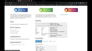Super-duper Basic MAMP Setup Guide!