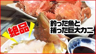 釣ったキジハタと巨大ワタリガニを食べてみた