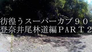 彷徨うスーパーカブ９０登奈井尾林道編PART2【APEMAN A66】