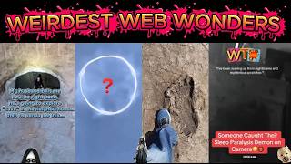 weirdest web wonders vol 169