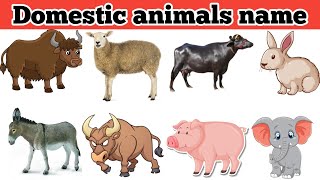 Domestic Animal Names in Hindi and English|पालतू जानवर के नाम#animals