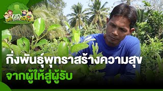 กิ่งพันธุ์พุทราสร้างความสุข จากผู้ให้สู่ผู้รับ | พอดีพอเพียง