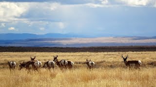 Hart Mountain National Antelope Refuge - Oregon Wonders