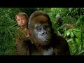 George Of The Jungle 2 - George vs. Mean Lion