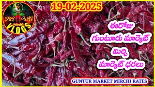 FEBRUARY-19-2025 GUNTUR MARKET MIRCHI RATES||గుంటూరు మార్కెట్ లో మిర్చి ధరలు||गुंटूर मिर्ची दरलू