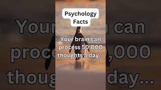 Why Do We Do This? Funny \u0026 Weird Psychology Facts 🤣😂 || Top amazing facts || #facts #shorts #funny