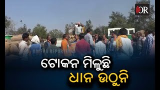 ଟୋକନ ମିଳୁଛି, ଧାନ ଉଠୁନି| Odisha Reporter