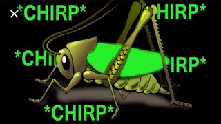 Crickets Sound Natural Sound ( Jhingur)