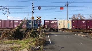 東北本線　EH500形　貨物列車　唐木沢踏切　通過