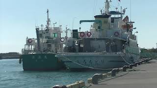 しろちどりと漁連丸(Shirochidori and Gyoren maru)