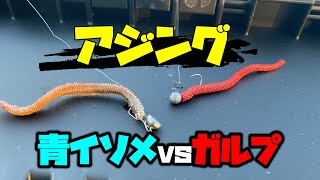 青イソメＶＳガルプ　【生き餌ワーム】どちらが釣れる調査しました！