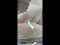 iridescent caterpillar crawls across butterfly net viralhog