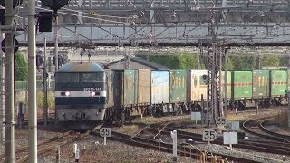 JR貨物　EF210-141牽引1055レ　＠京都　11/02/2013