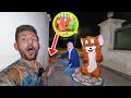 ثعلب اغنية دق دق الباب هاجم بيتنا بوقت متأخر من الليل ولاحقناه !! مخيف