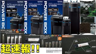 【速報】コトブキの完全新作外部式フィルターが発売されただとぉぉぉぉぉぉぉぉぉぉぉぉぉぉぉぉぉぉぉぉぉぉぉぉぉぉぉぉぉぉぉぉ！【ふぶきテトラ】