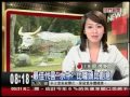 年代主播蔡逸帆 2009 3 31年代早報播報片段