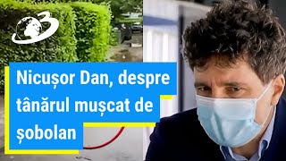 Nicușor Dan, despre tânărul mușcat de șobolan în centrul Capitalei: Cred că a fost un caz izolat