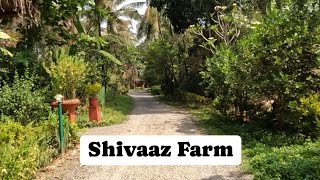 Holiday Mini Vlog| Shivaaz Farm tour| ASMR