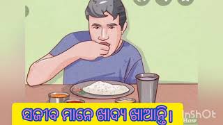 ପ୍ରଥମ ଶ୍ରେଣୀ ବିଜ୍ଞାନ:-ସଜୀବ ଓ ନିର୍ଜୀବ