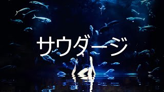 【歌ってみた】サウダージ【アコースティック伴奏】