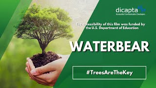 #TreesAreTheKey