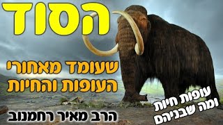 סרט מדהים❗הסוד שעומד מאחורי העופות והחיות💫 עופות חיות ומה שבניהם💥סרטון חייב צפייה🔥