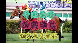 賽馬投資-29/1/2023 香港賽馬第3場貼士心水 WIN PLACE 3X4 HK Horse Racing Tips R3