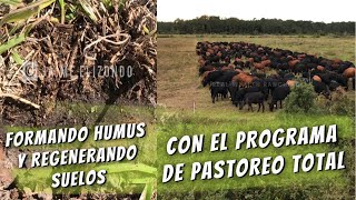 Formando humus y regenerando suelos con el Programa de Pastoreo Total (Jaime Elizondo) 🐃 🐂 🐄🌎