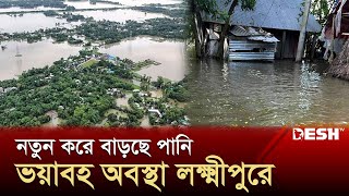 লক্ষ্মীপুরে পানিবন্দি ৯ লক্ষ মানুষ, ত্রাণের আশায় ছুটছে বানভাসীরা | Lakshmipur Flood News | Desh TV