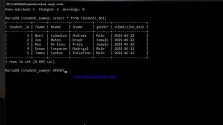 Update Queries from MySQL Database using Command Prompt
