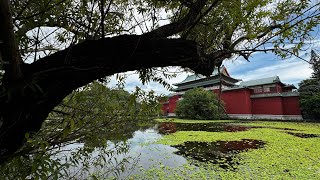 台北植物園Taipei Botanical Garden