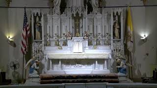 Holy Mass 2/22/25 - Feast of St. Peter's Chair at Antioch