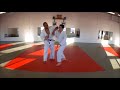 aiki randori international mu shin kan