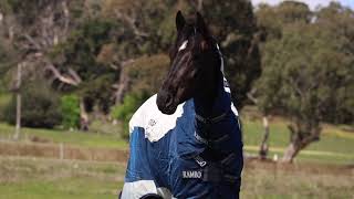 Rambo Summer Series - Horseware's Most Popular Paddock Sheet