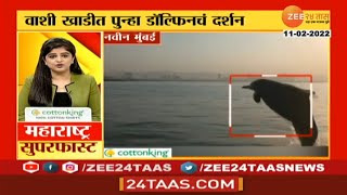 Navi Mumbai Dolphin Spotted in Vashi Creek | वाशी खाडीत पुन्हा एकदा पाहायला मिळाला डॉल्फिन