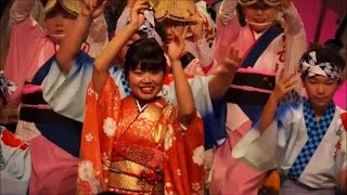 阿波おどり新春特別公演「のんき連」阿波おどり会館2017