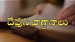 Bible study|బైబిల్ స్టడీ| దేవుని వాగ్దానములు దేని కొరకు