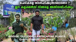 എല്ലാത്തരം ചെടികളും വിലക്കുറവിൽ വാങ്ങാം ! Abiya Garden Nedumbassery