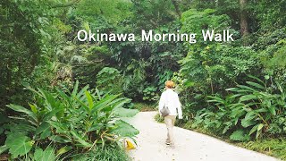 Okinawa Morning Walk【4K】