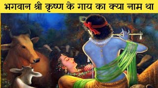 भगवान श्री कृष्ण के गाय का क्या नाम था | Lord Krishna cow name | Katha Marg