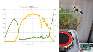 光合成の二酸化炭素量変化・データロガーを使う測定４