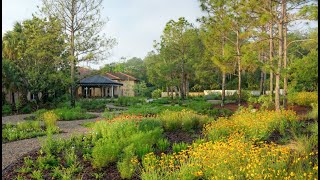 Planning and Planting (Ecosystem – Based) Gardens at Bok Tower Gardens with Nancy Bissett