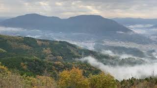 雲海展望公園から見る肱川上空の神秘的な雲海と風景 愛媛県大洲市