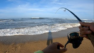 Mi Primer Robalo desde la Playa!