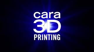 cara Print 4.0