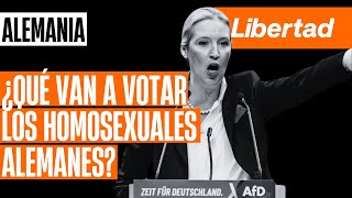 Nueva encuesta sobre las elecciones en Alemania ¿qué van a votar los homosexuales alemanes?