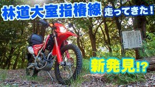 新発見！？林道大室指椿線を走ってきた！【ツーレポ】【モトブログ】【motovlog】【林道】